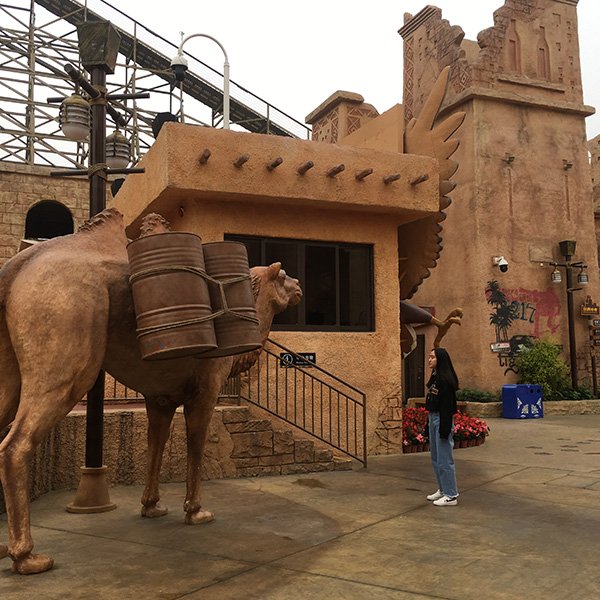 Shantai Array image101